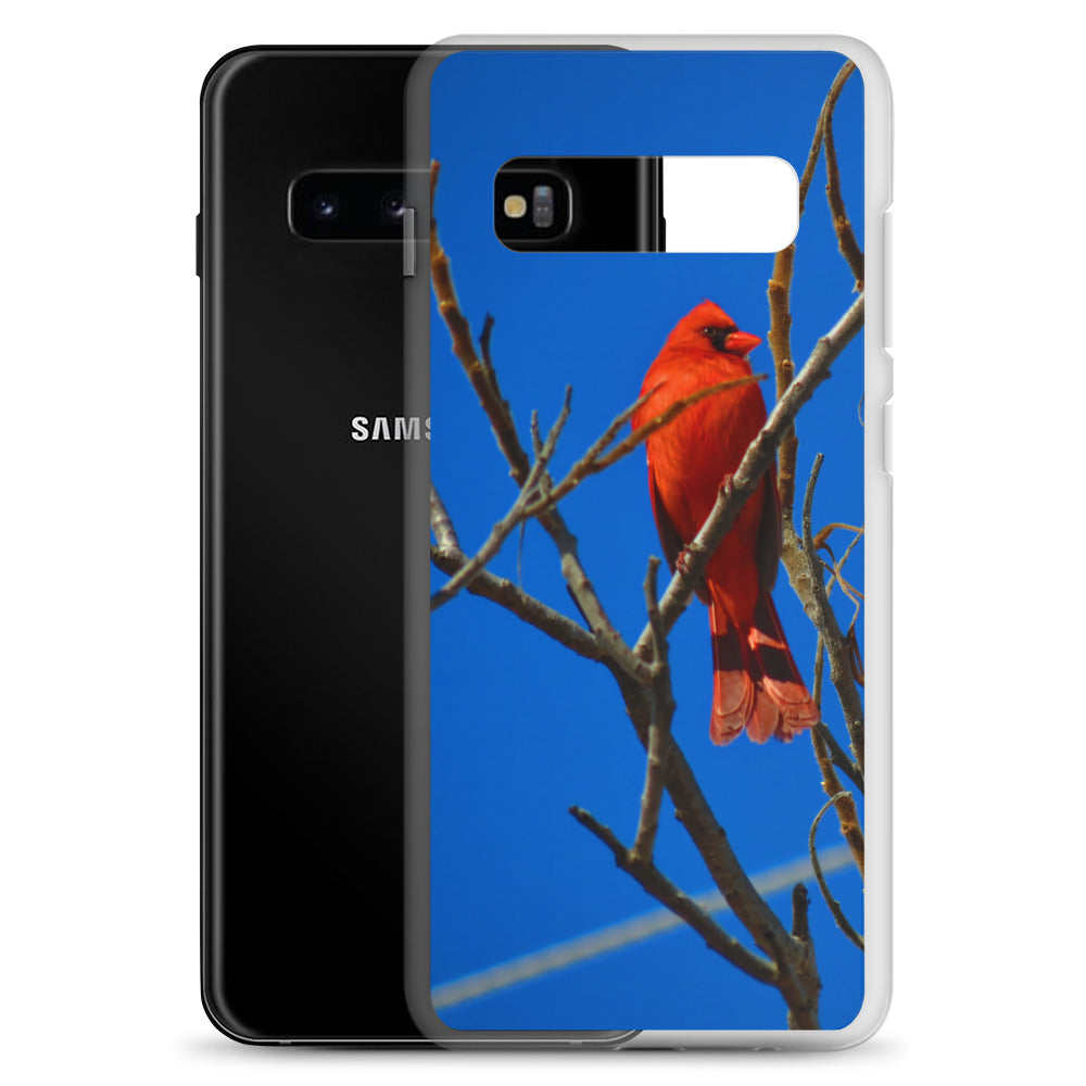 Funda transparente para Samsung® - Cardenal rojo