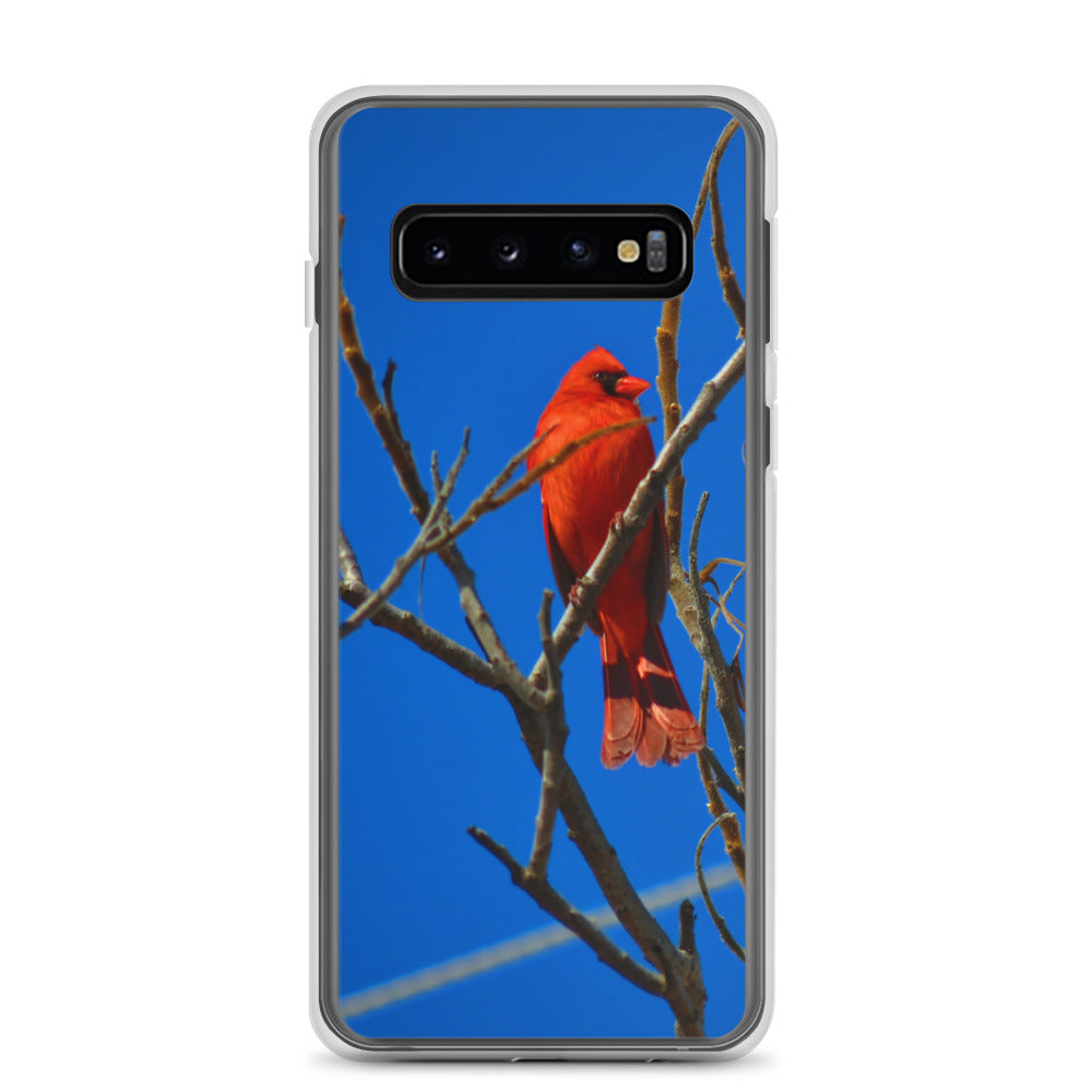 Funda transparente para Samsung® - Cardenal rojo