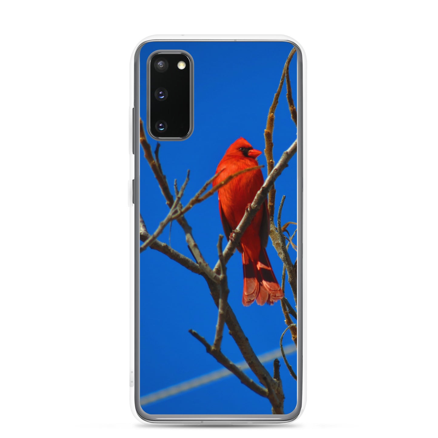 Clear Case for Samsung®- Red Cardinal