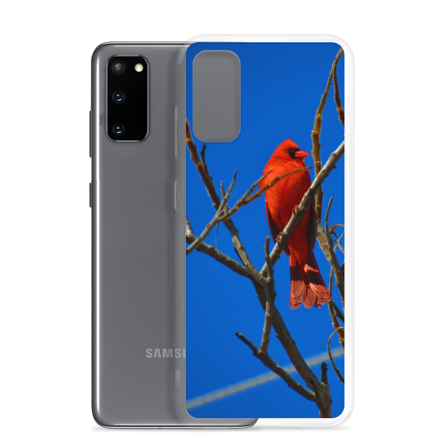 Clear Case for Samsung®- Red Cardinal