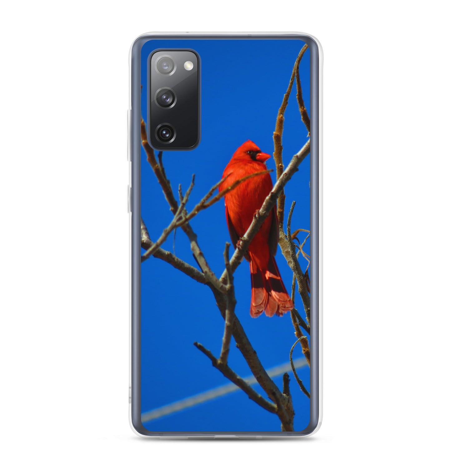 Clear Case for Samsung®- Red Cardinal