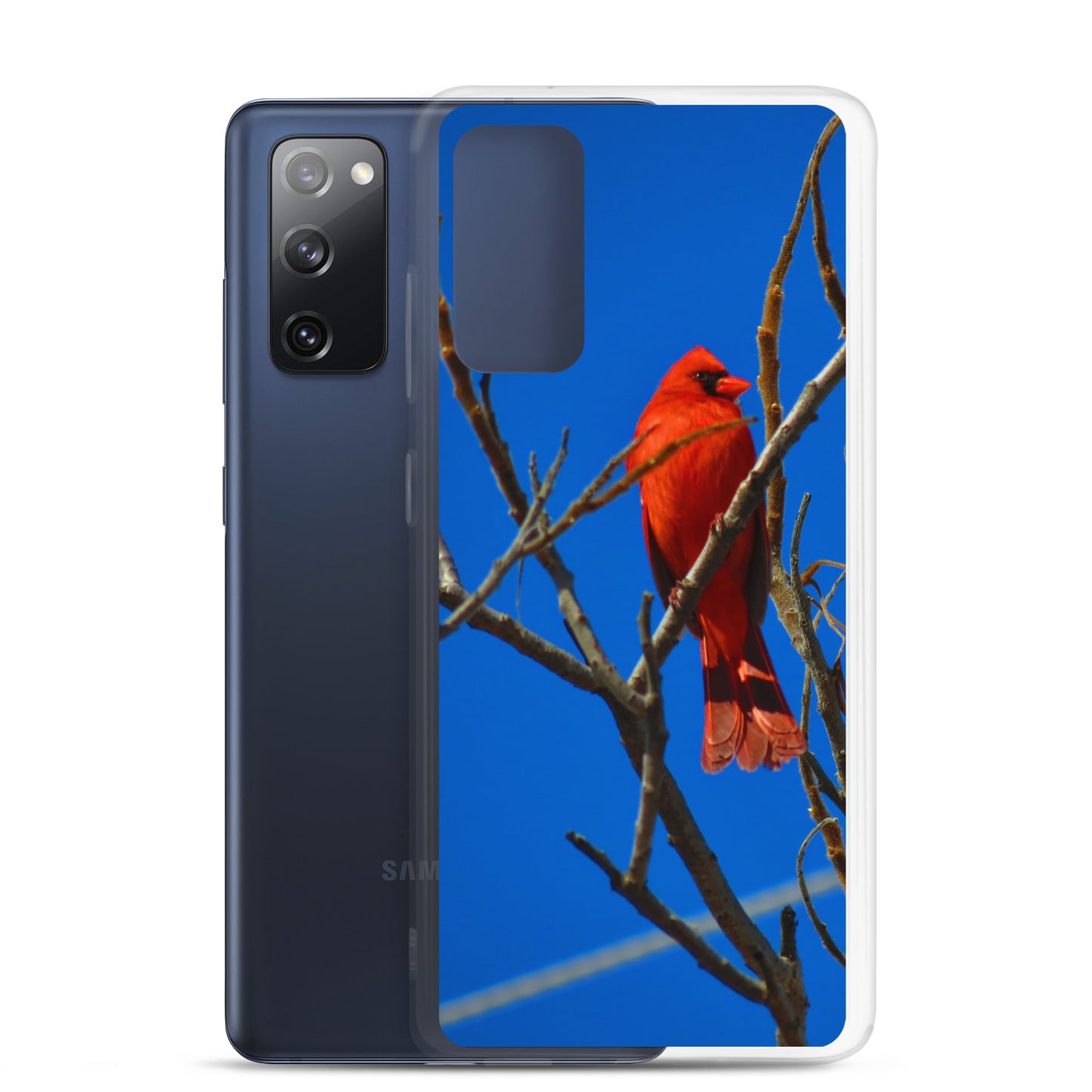 Funda transparente para Samsung® - Cardenal rojo