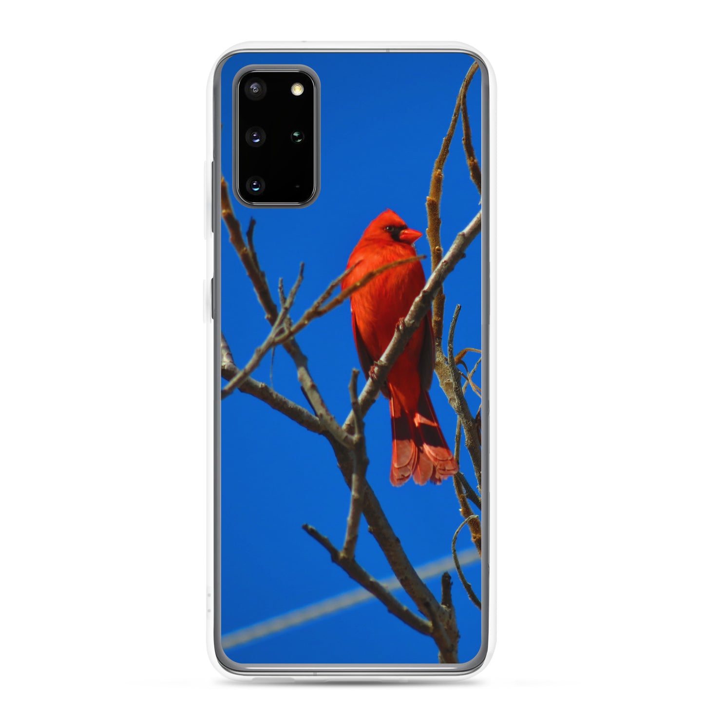 Funda transparente para Samsung® - Cardenal rojo