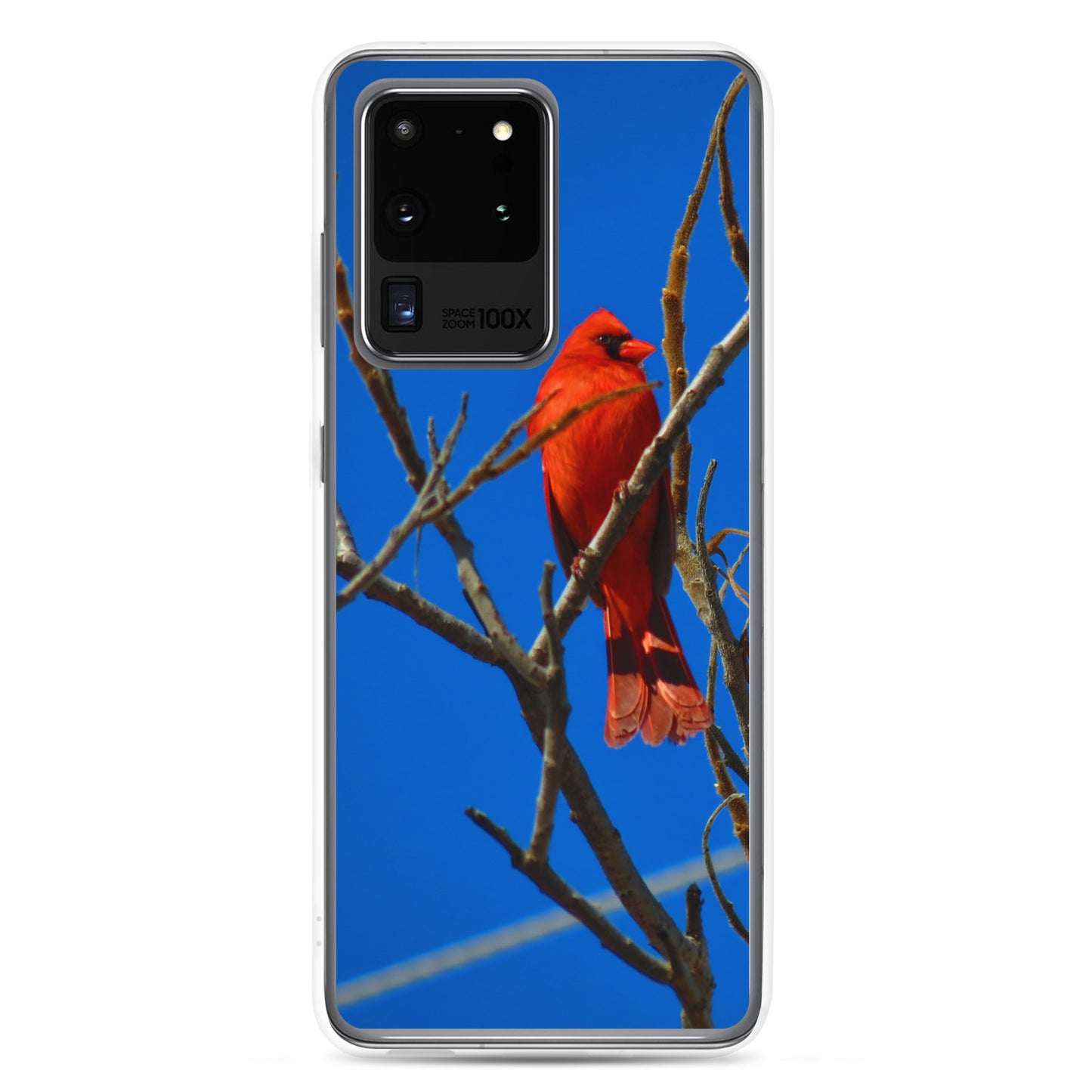 Funda transparente para Samsung® - Cardenal rojo