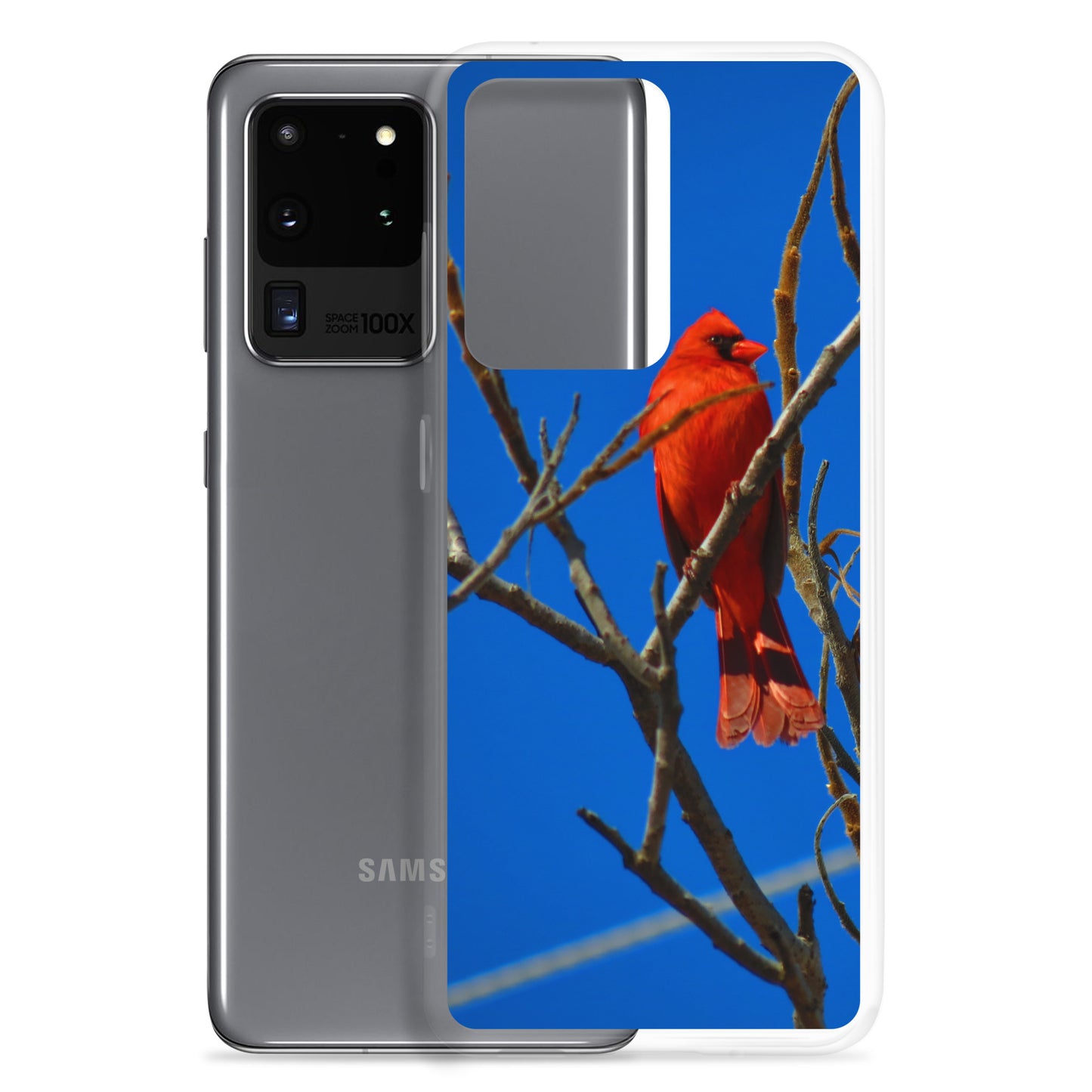 Funda transparente para Samsung® - Cardenal rojo