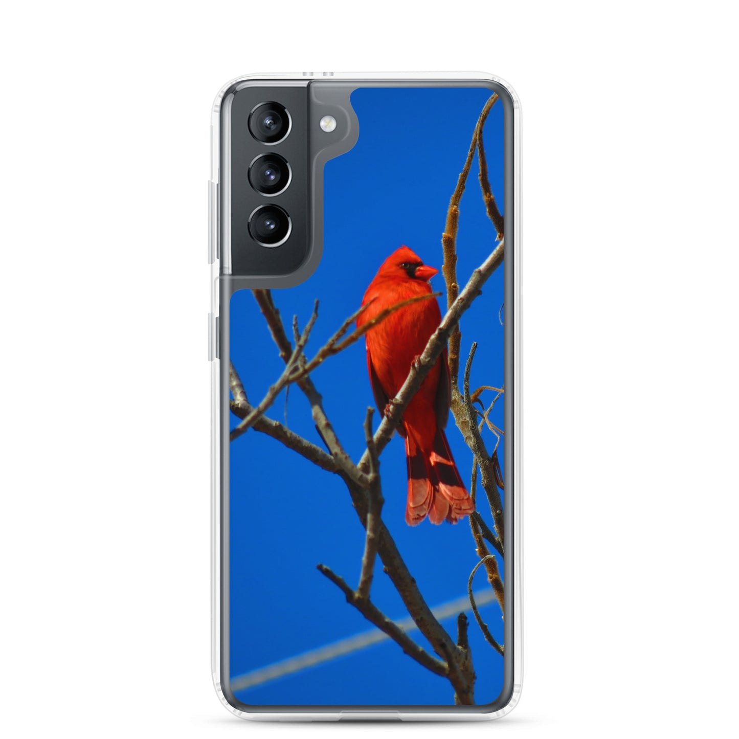 Funda transparente para Samsung® - Cardenal rojo