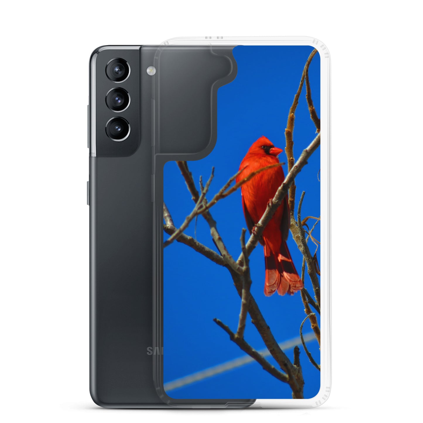 Funda transparente para Samsung® - Cardenal rojo