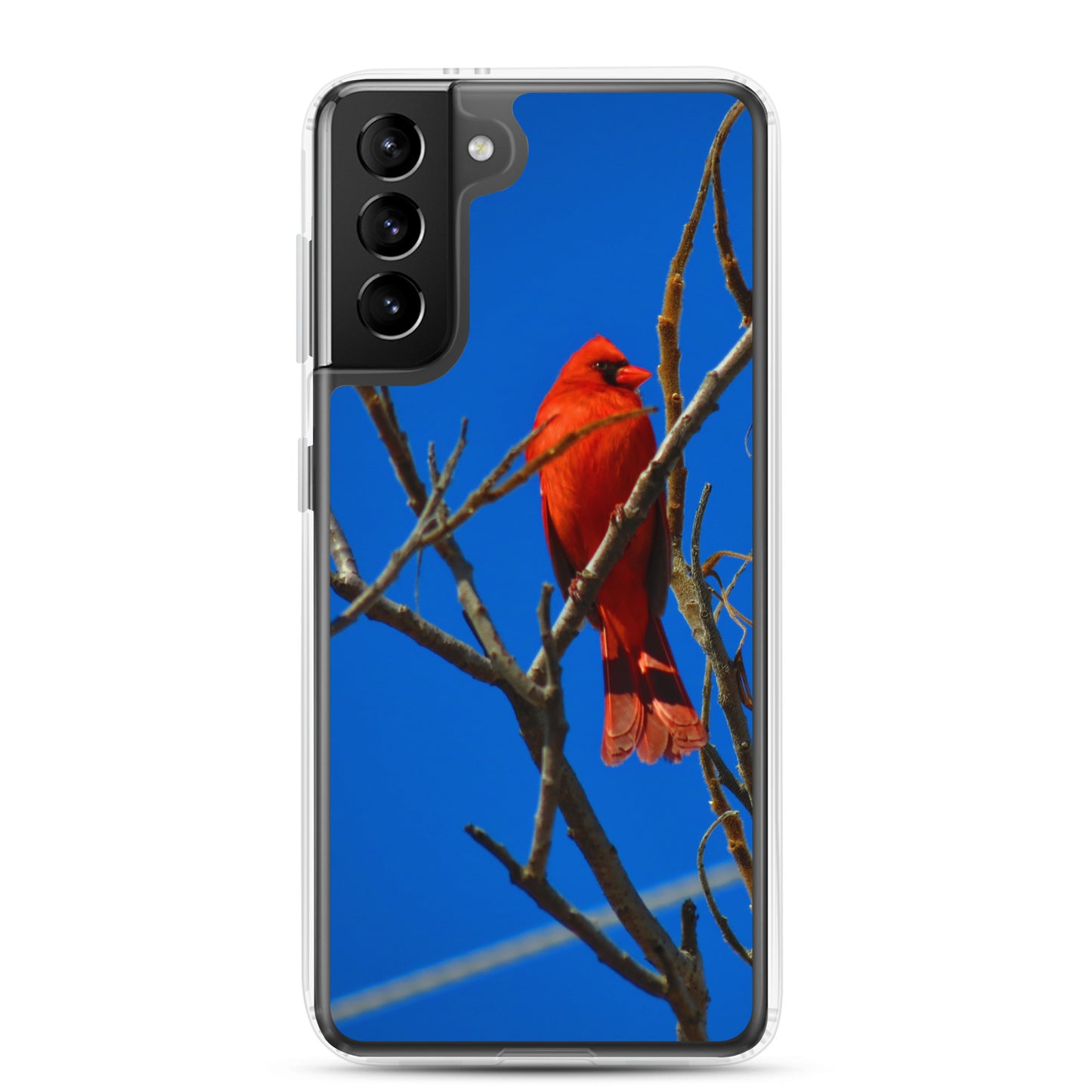 Funda transparente para Samsung® - Cardenal rojo