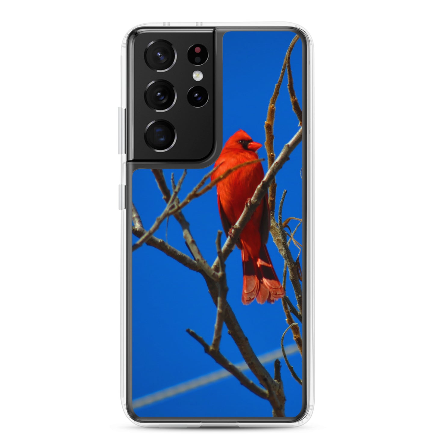 Clear Case for Samsung®- Red Cardinal