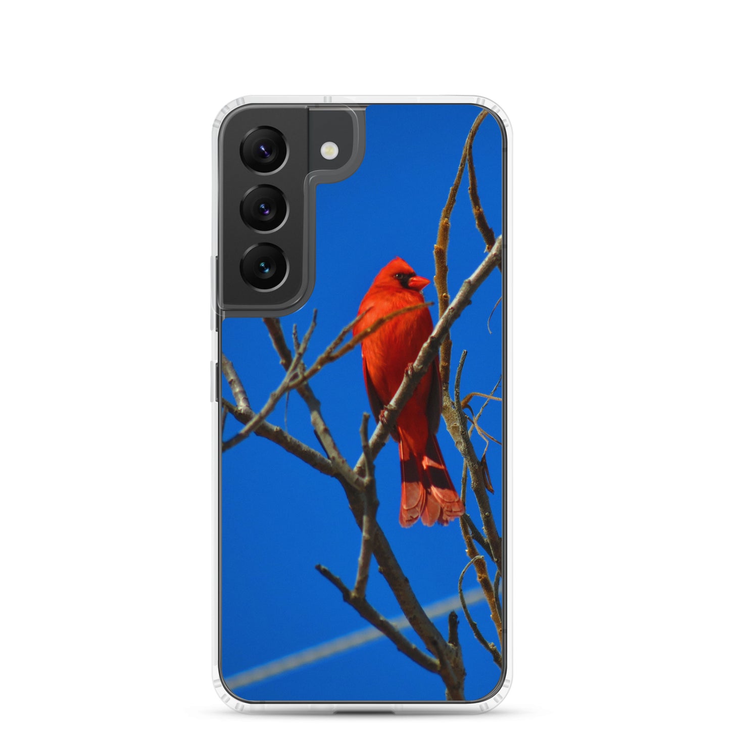 Funda transparente para Samsung® - Cardenal rojo