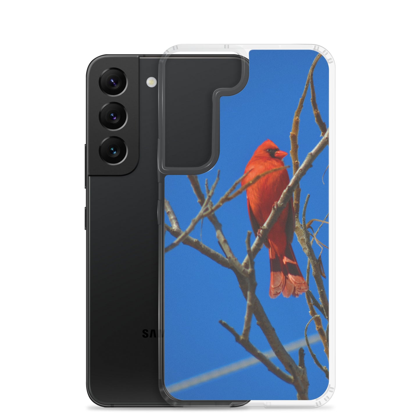 Funda transparente para Samsung® - Cardenal rojo