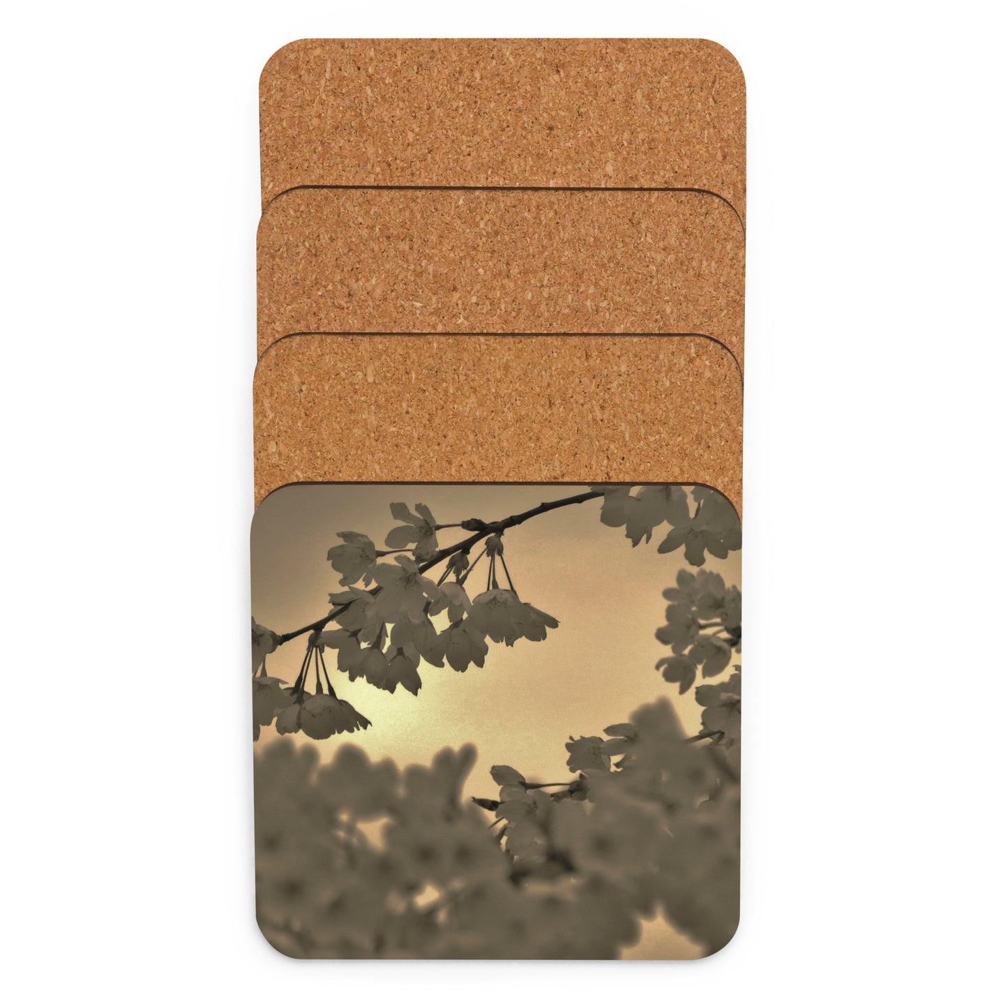 Cork-back coaster - Sepia Cherry Blossoms