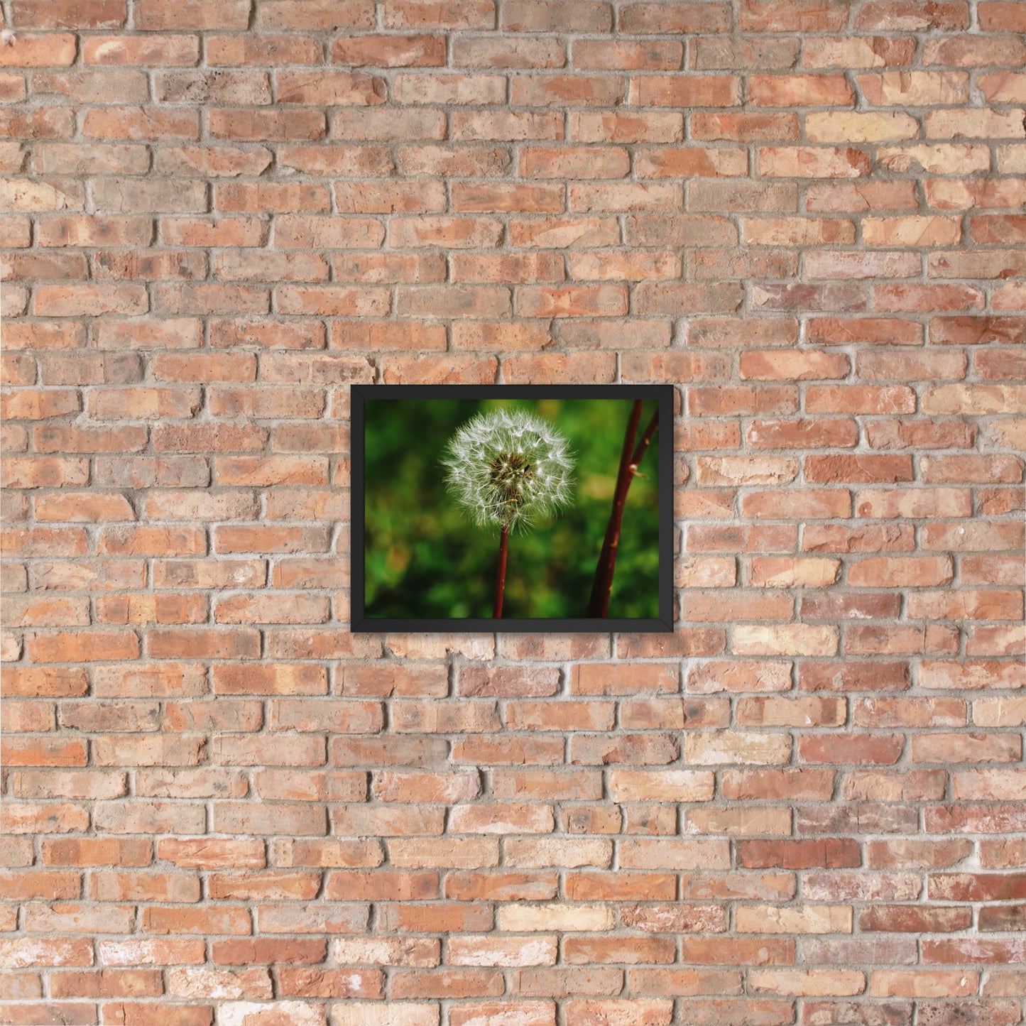 Framed poster - Dandelion Wish