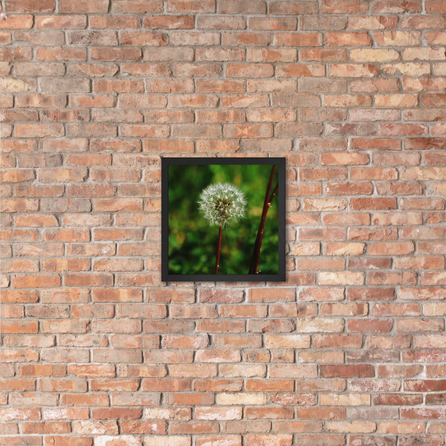 Framed poster - Dandelion Wish