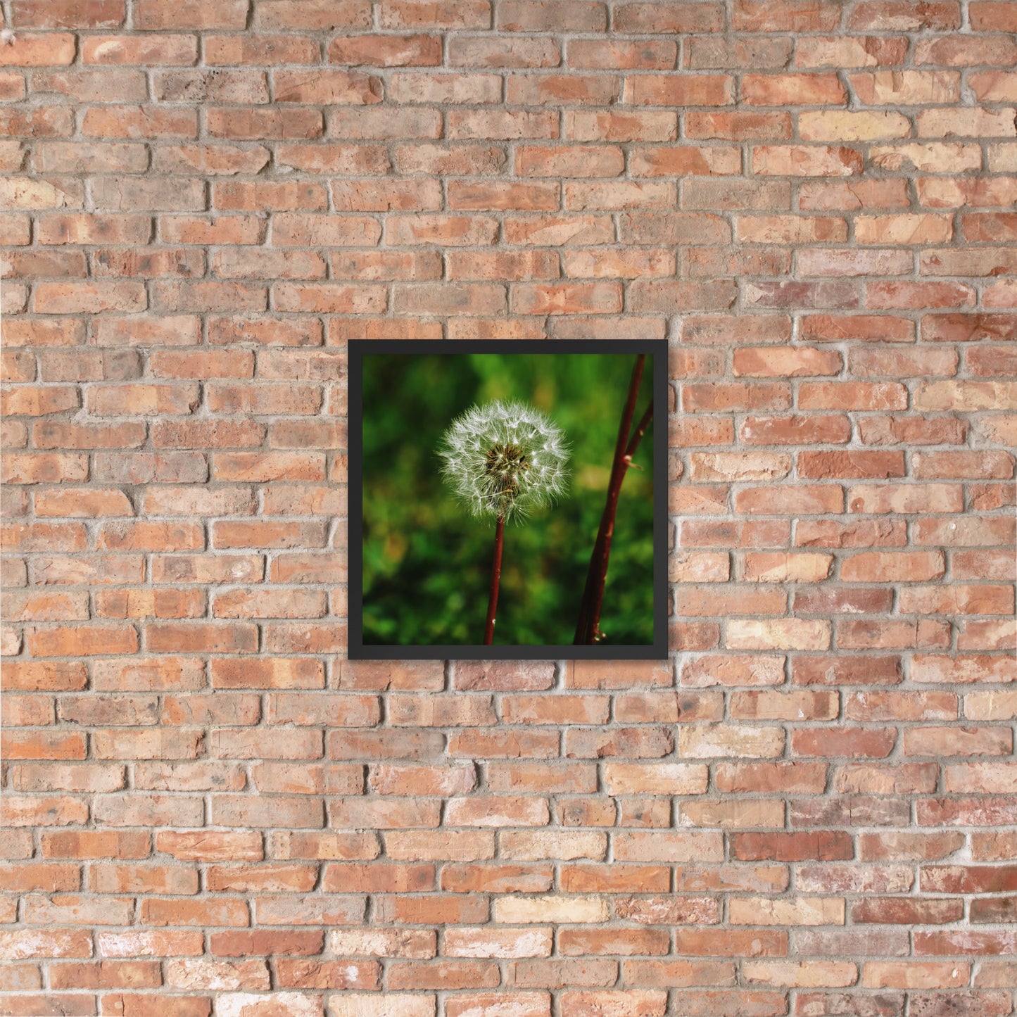 Framed poster - Dandelion Wish