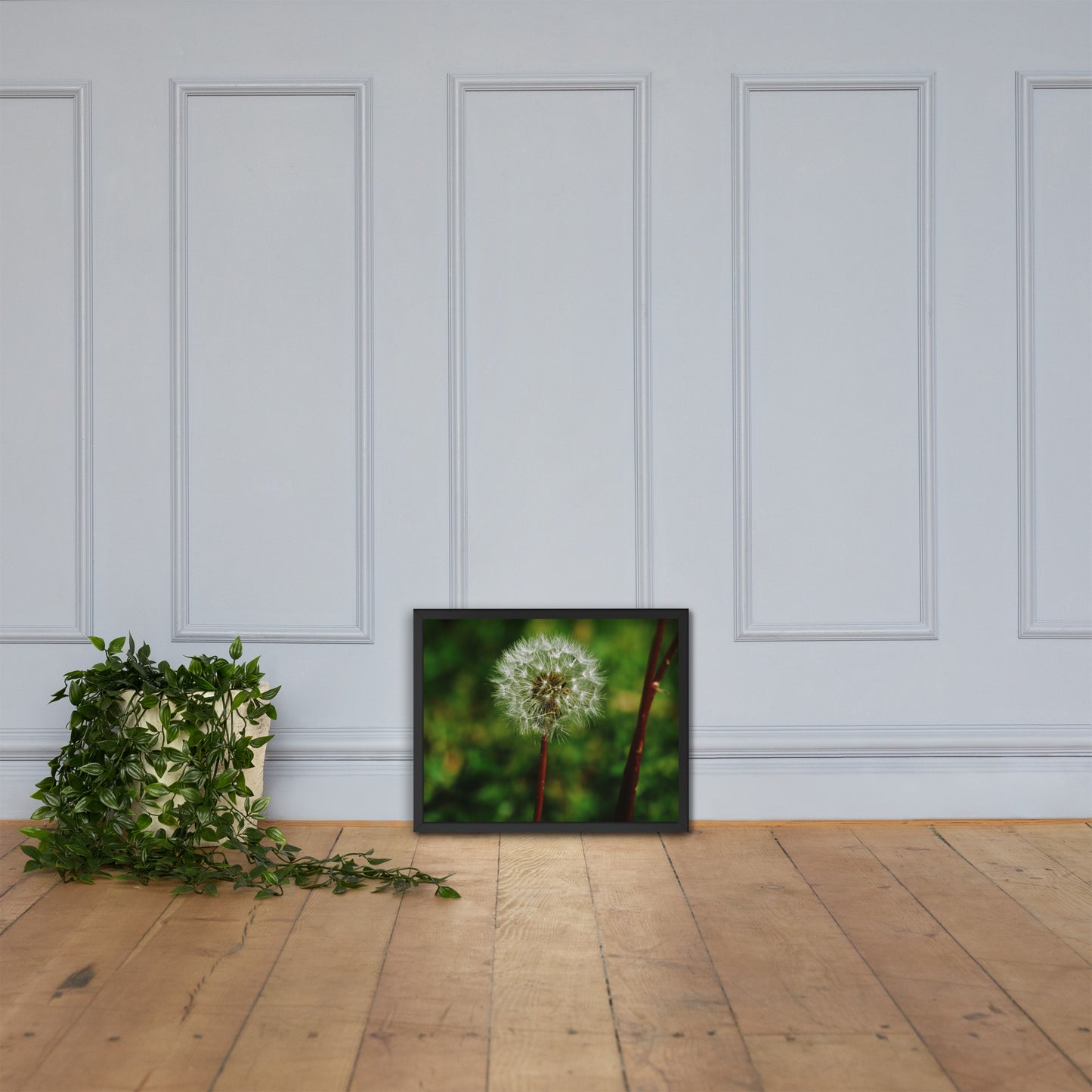 Framed poster - Dandelion Wish