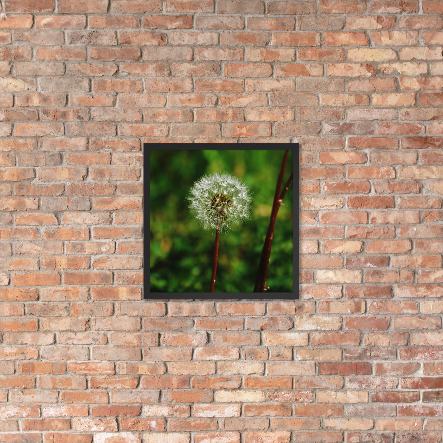 Framed poster - Dandelion Wish