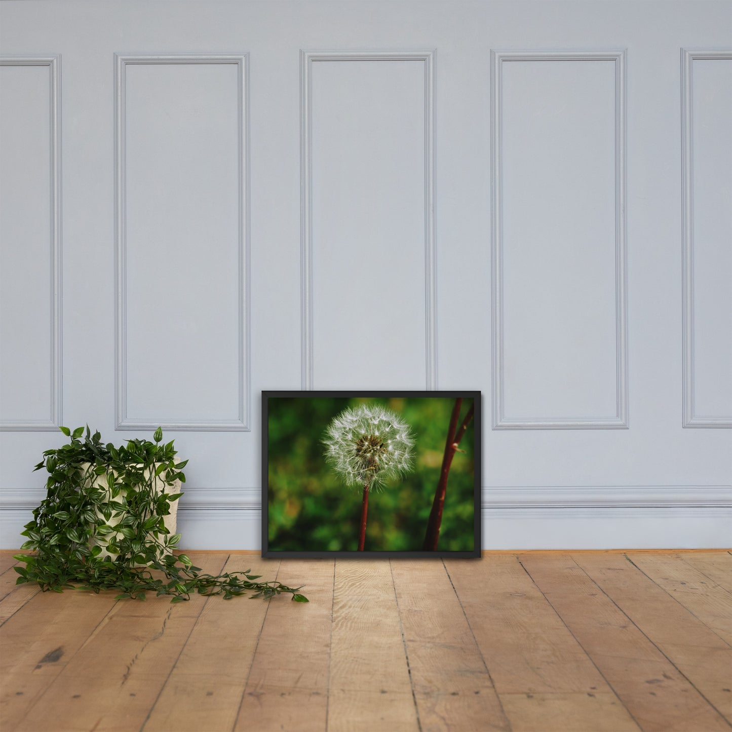 Framed poster - Dandelion Wish