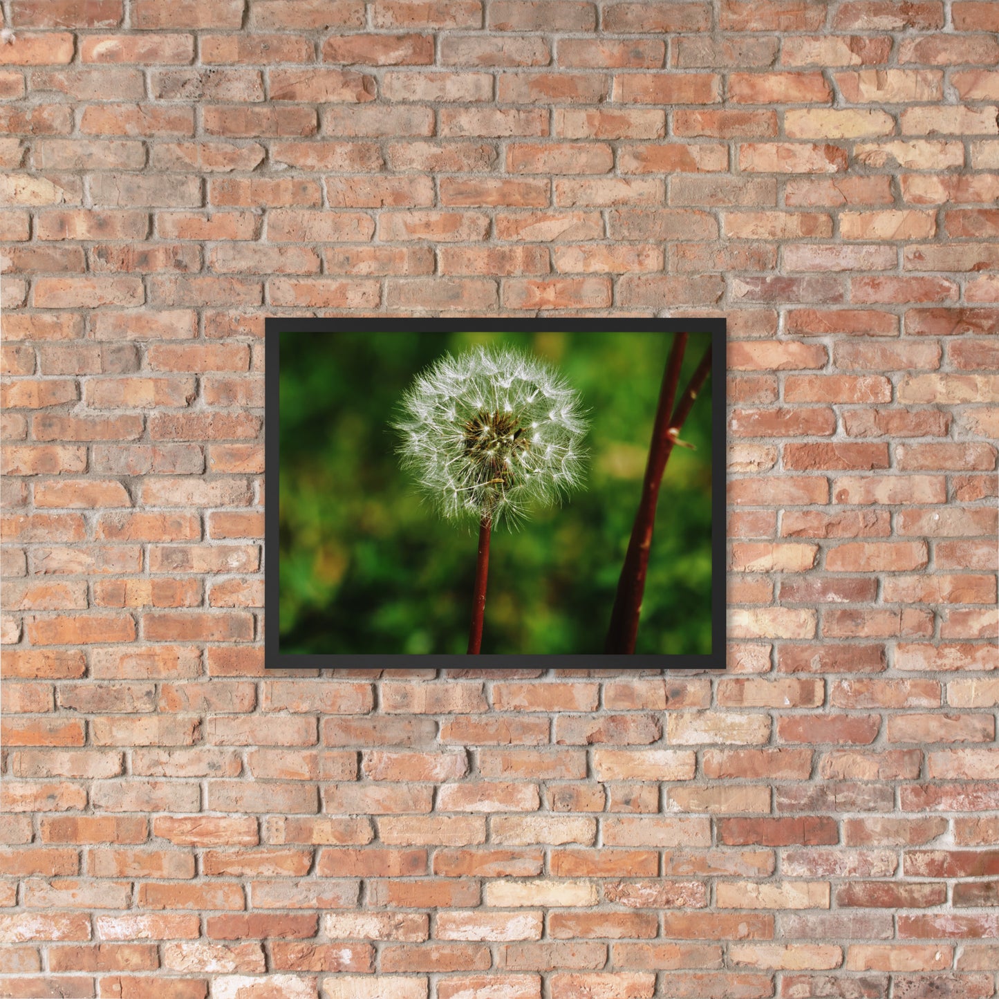 Framed poster - Dandelion Wish