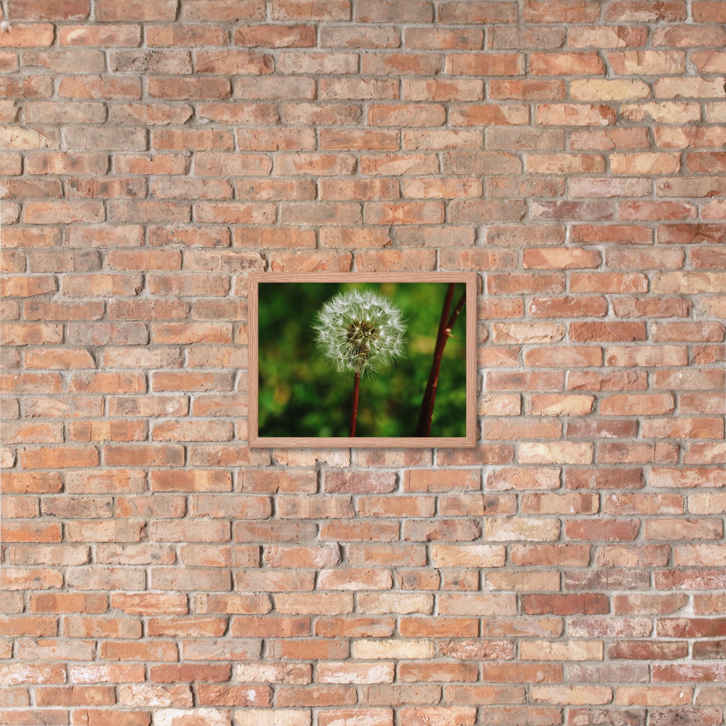 Framed poster - Dandelion Wish