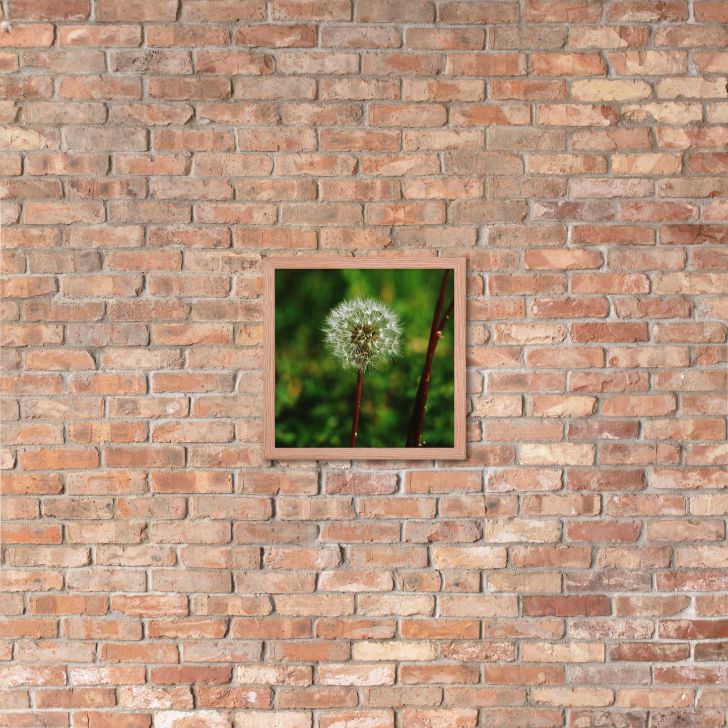 Framed poster - Dandelion Wish