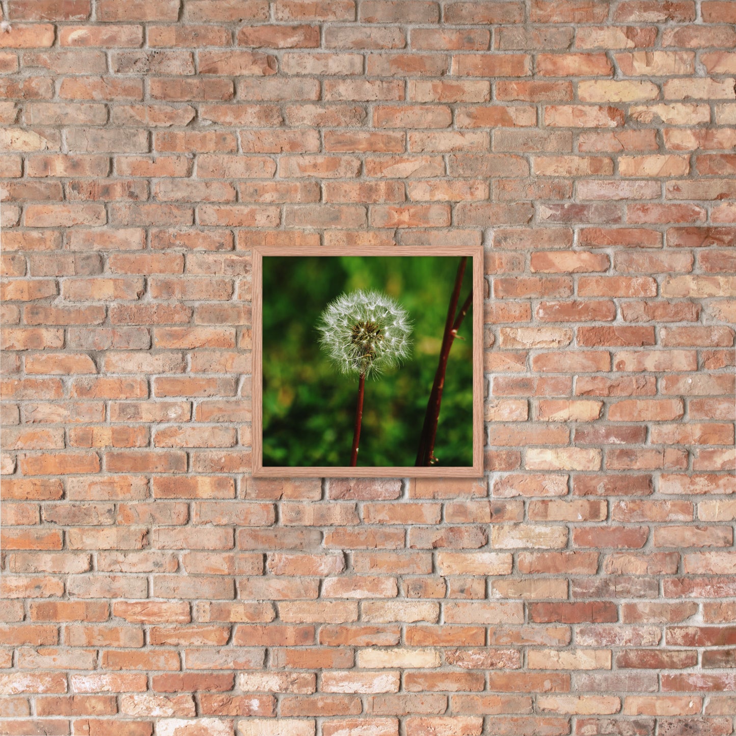 Framed poster - Dandelion Wish