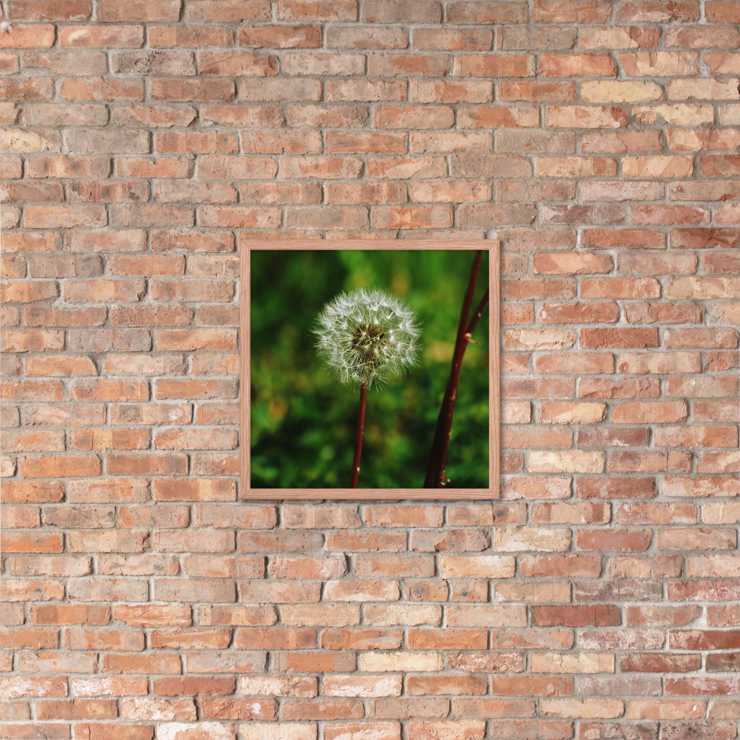 Framed poster - Dandelion Wish