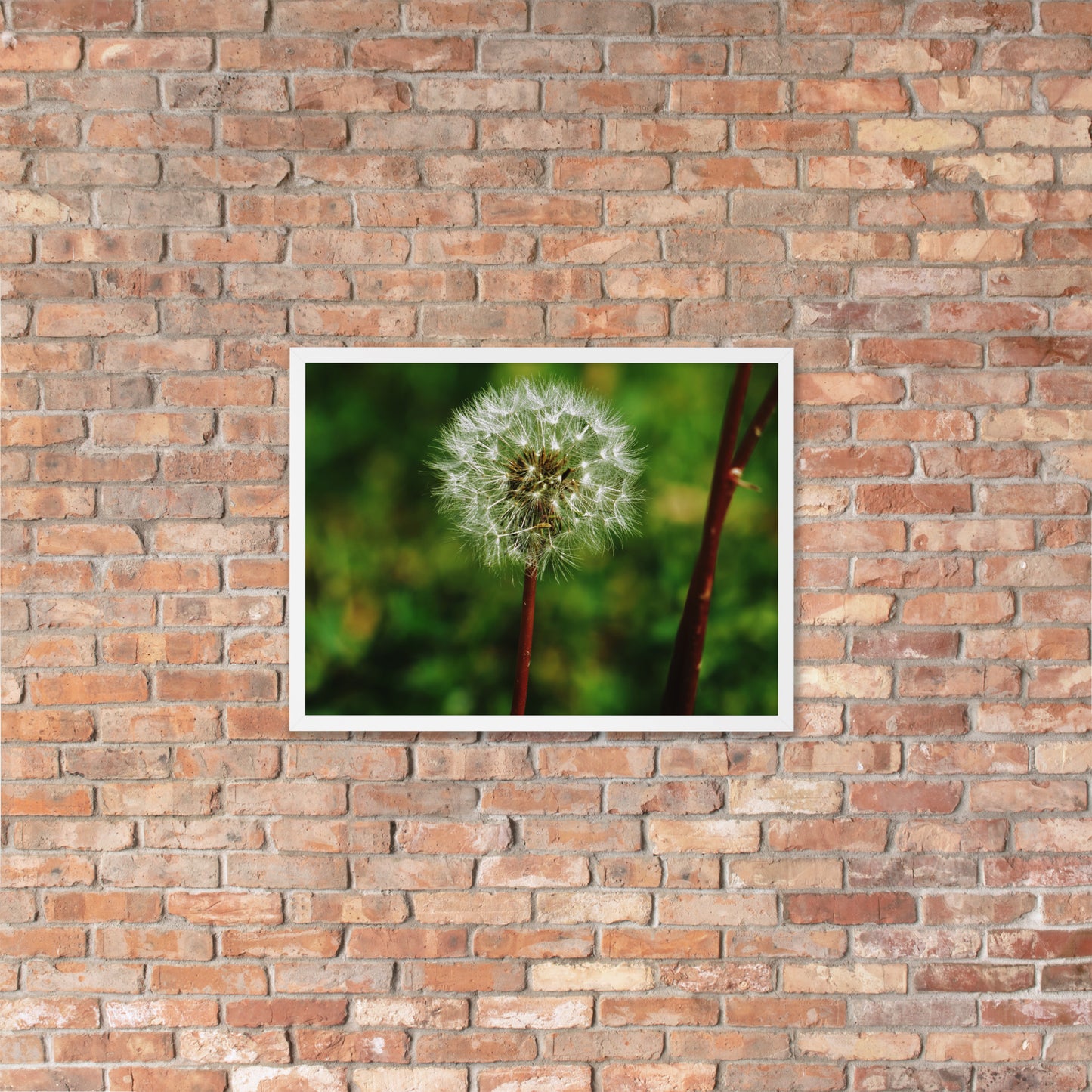 Framed poster - Dandelion Wish