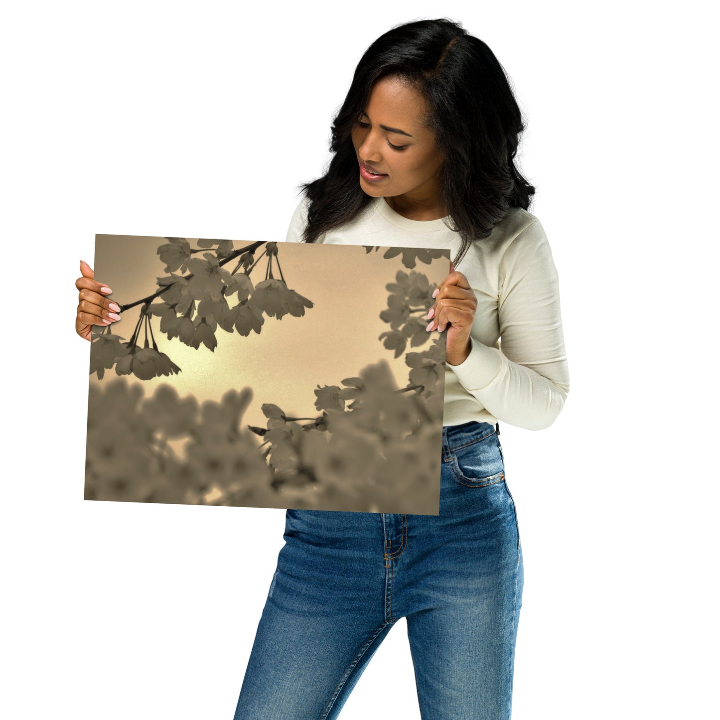 Poster - Sepia Cherry Blossoms