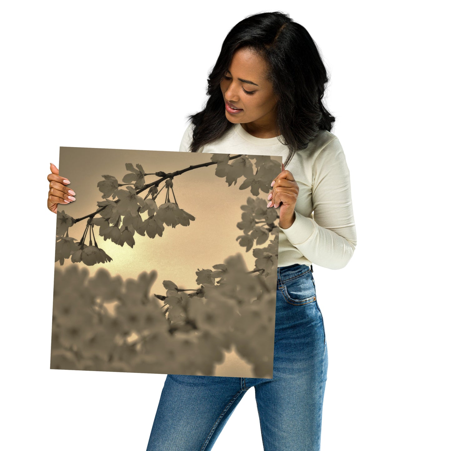 Poster - Sepia Cherry Blossoms