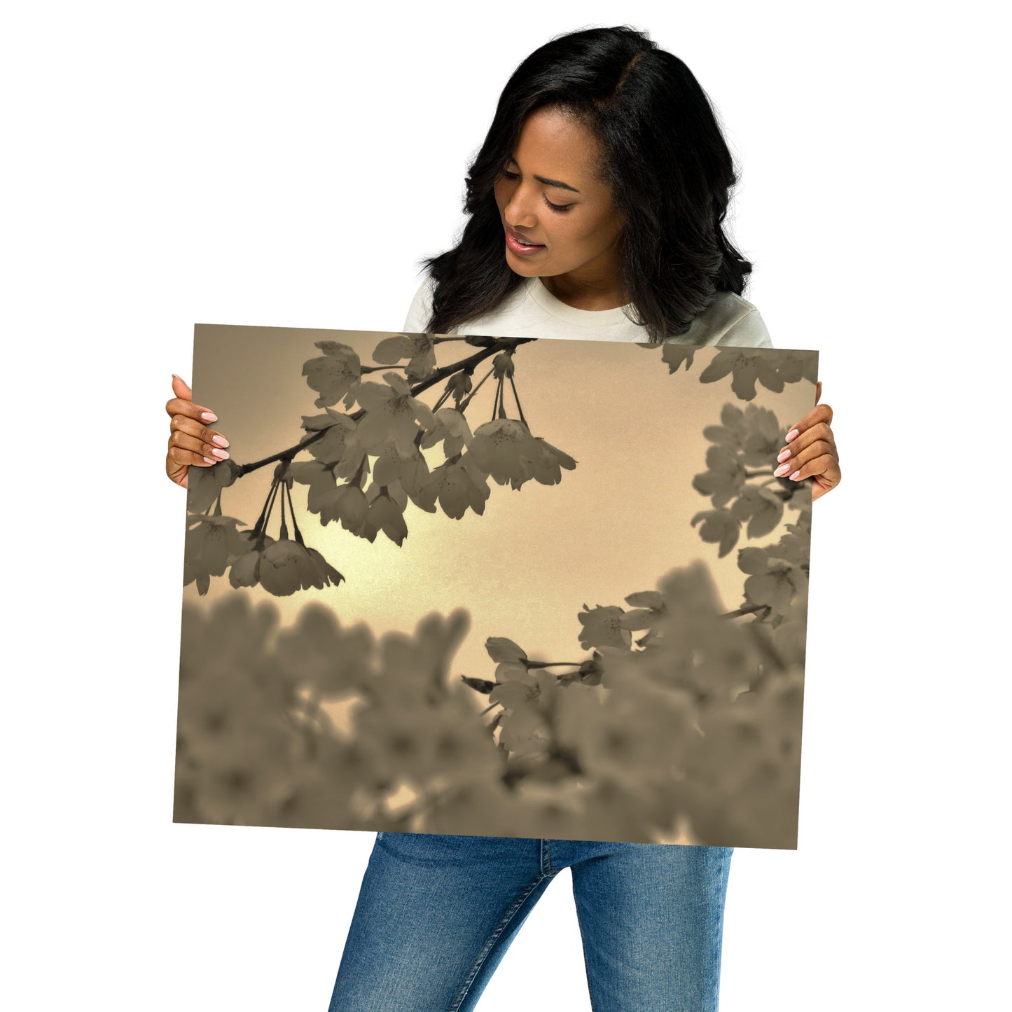 Poster - Sepia Cherry Blossoms