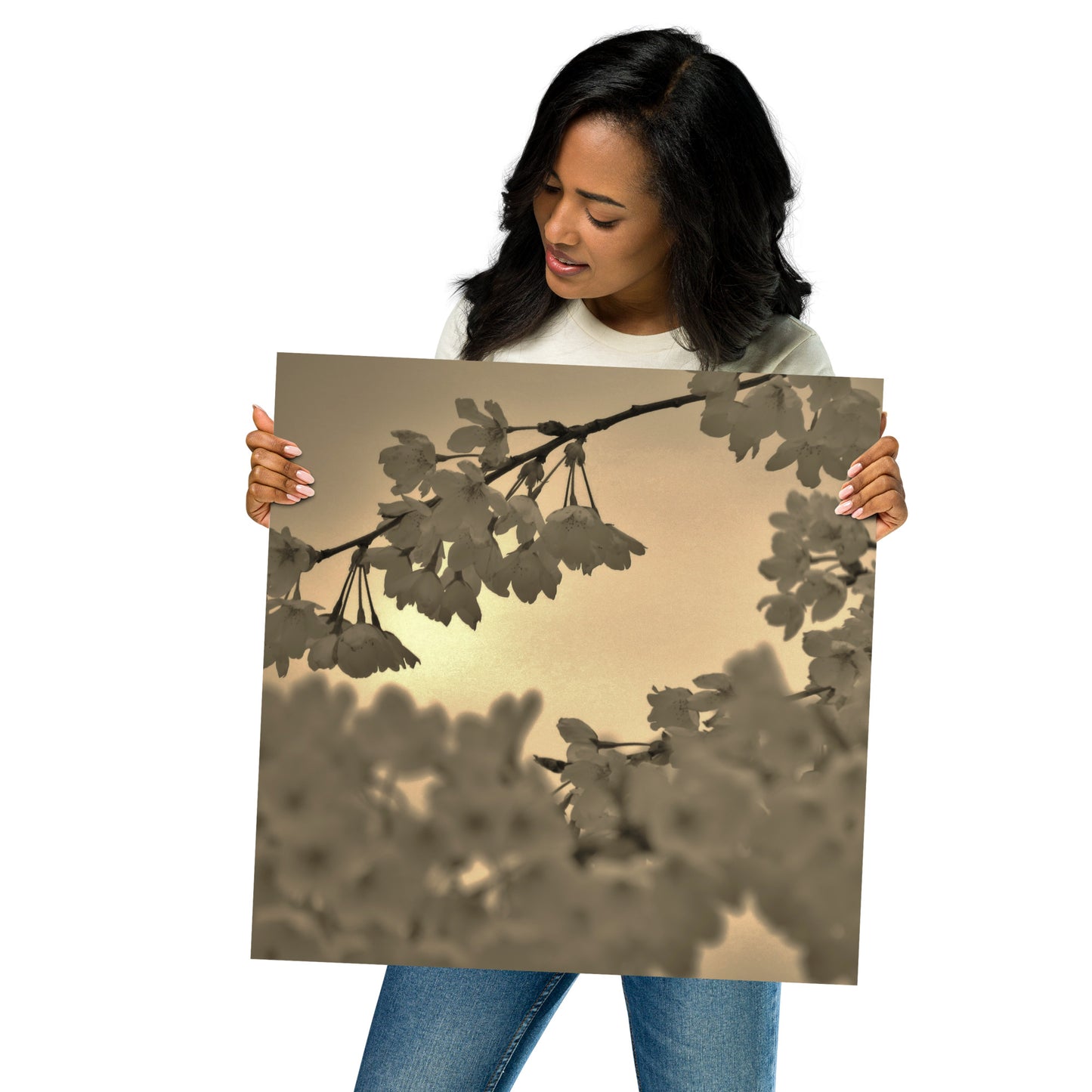 Poster - Sepia Cherry Blossoms