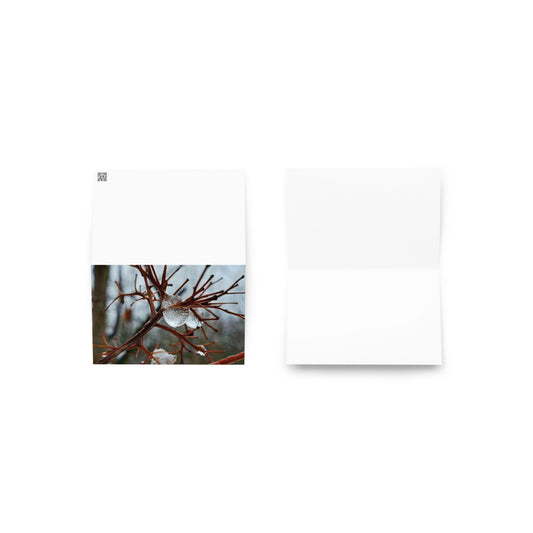 Greeting card- The Thaw