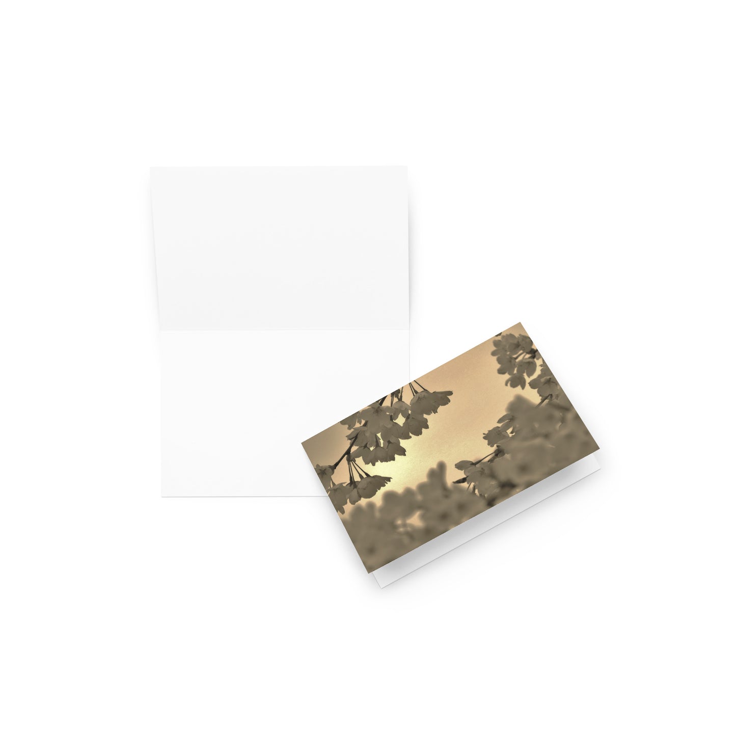 Greeting card - Sepia Cherry Blossoms