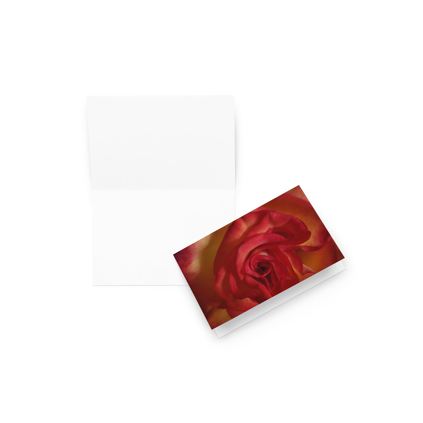 Greeting card - Vermilion Rose