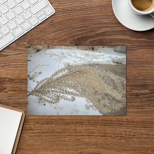 Greeting card- Winter Foliage