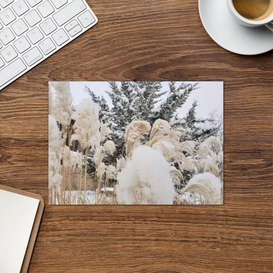 Greeting card- Snowy Foliage