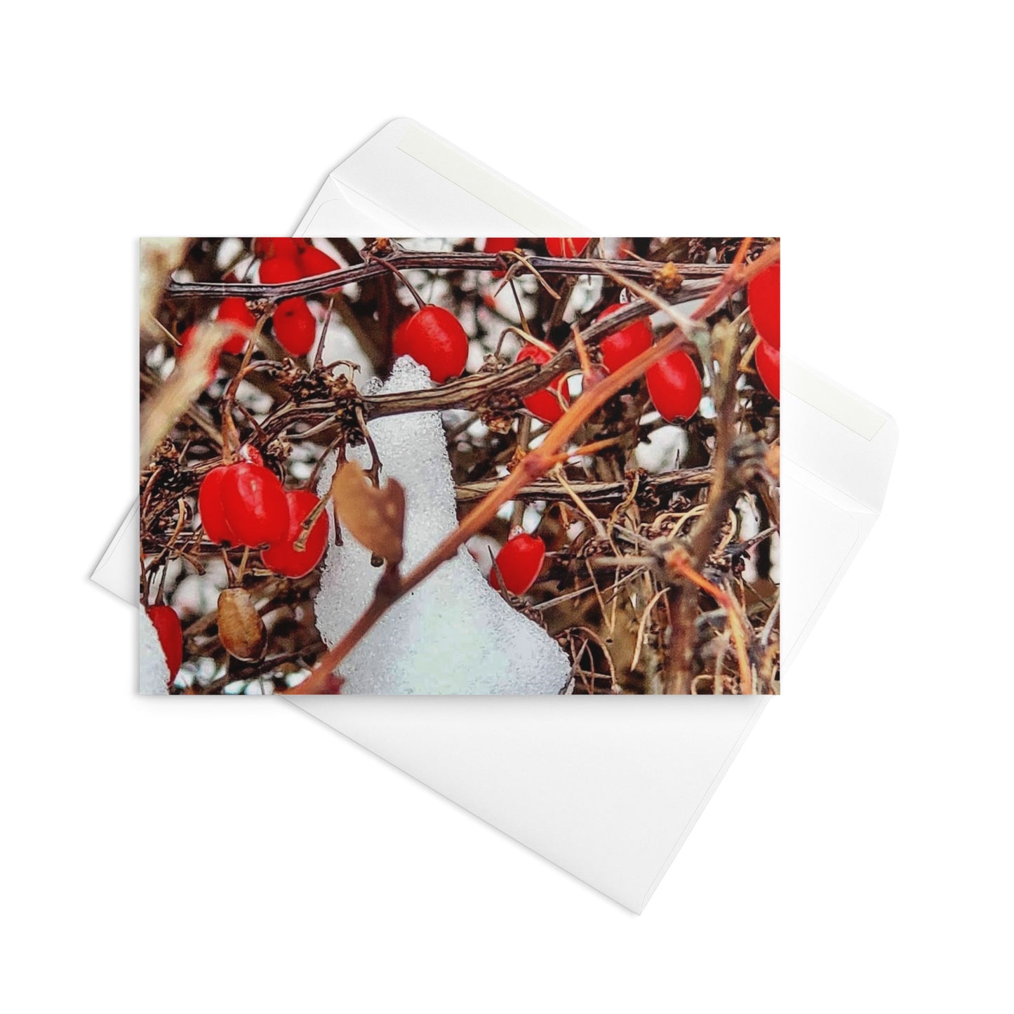 Greeting card- Winter Berries