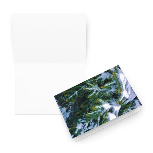 Greeting card- Snowy Evergreen 2