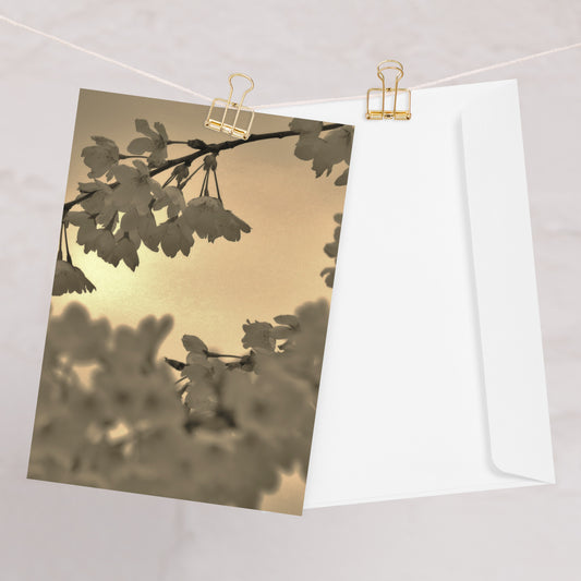 Greeting card - Sepia Cherry Blossoms