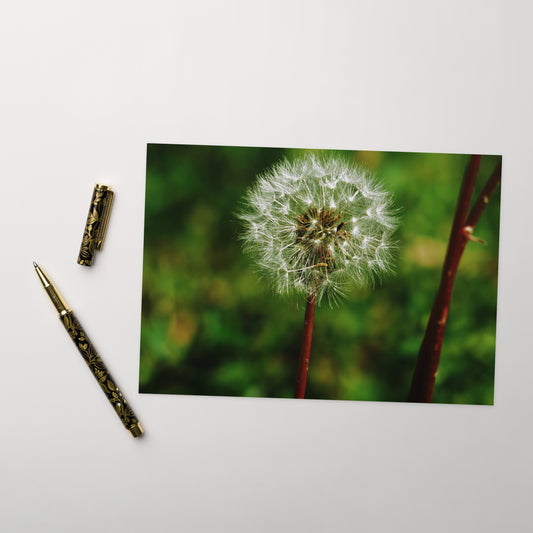 Greeting card - Dandelion Wish