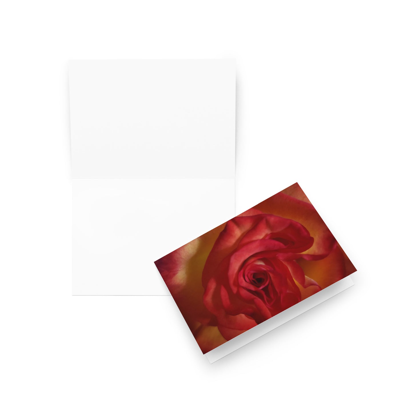 Greeting card - Vermilion Rose