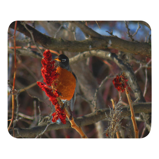 Mouse pad- Snackin' Robin