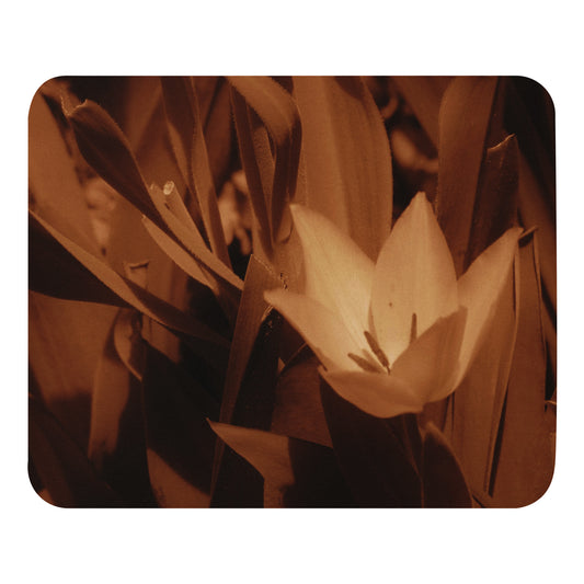 Mouse pad - Sepia Opened Tulip