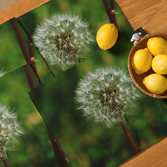 Placemat Set - Dandelion Wish