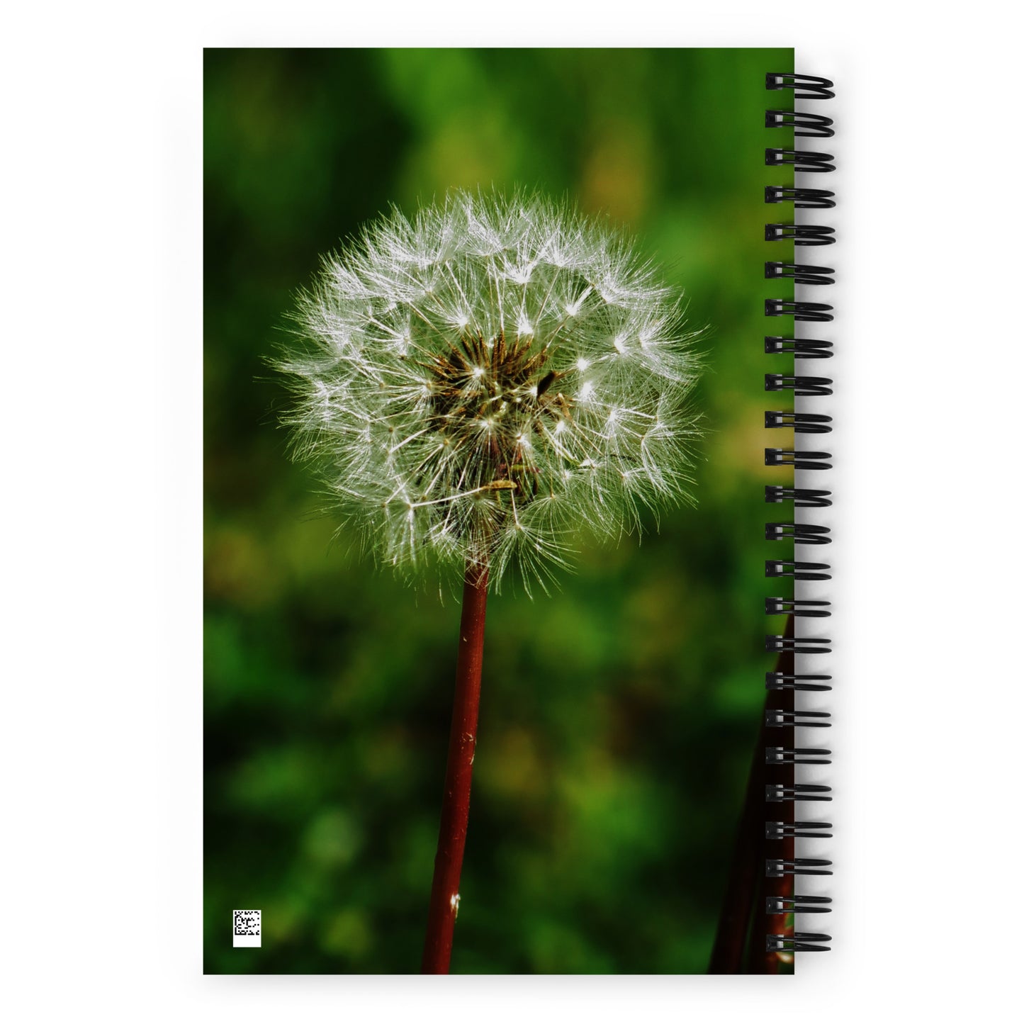 Spiral notebook - Dandelion Wish