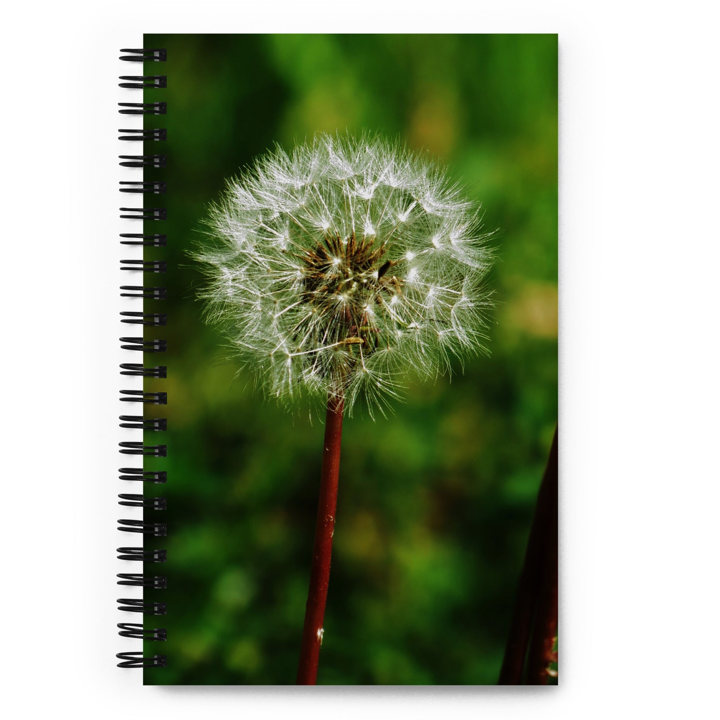 Spiral notebook - Dandelion Wish